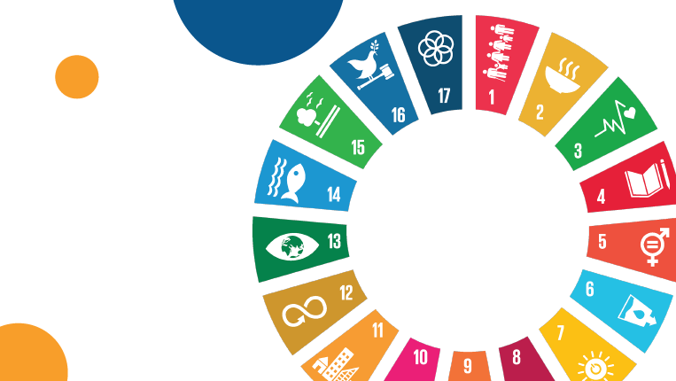 image with wheel of sustainable development goals